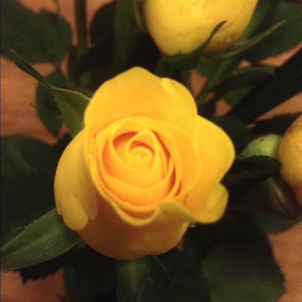 Meet your Posher, Mary